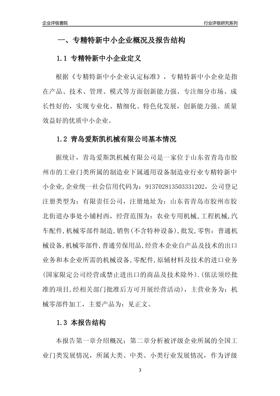 [专精特新]青岛爱斯凯机械有限公司行业竞争力评级分析报告(2023版)_第3页