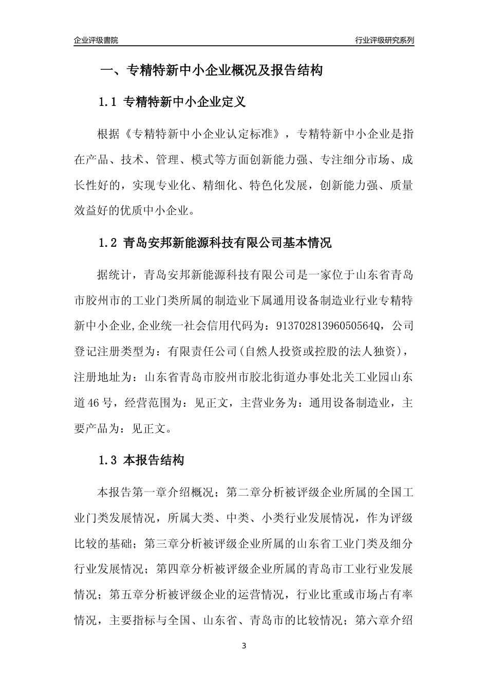[专精特新]青岛安邦新能源科技有限公司行业竞争力评级分析报告(2023版)_第3页