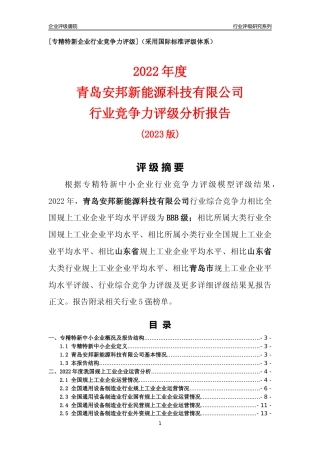 [专精特新]青岛安邦新能源科技有限公司行业竞争力评级分析报告(2023版)