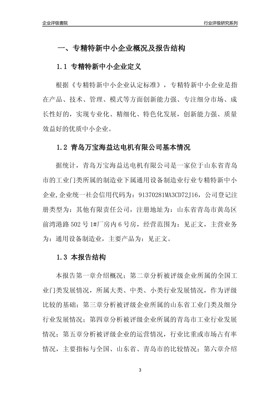 [专精特新]青岛万宝海益达电机有限公司行业竞争力评级分析报告(2023版)_第3页