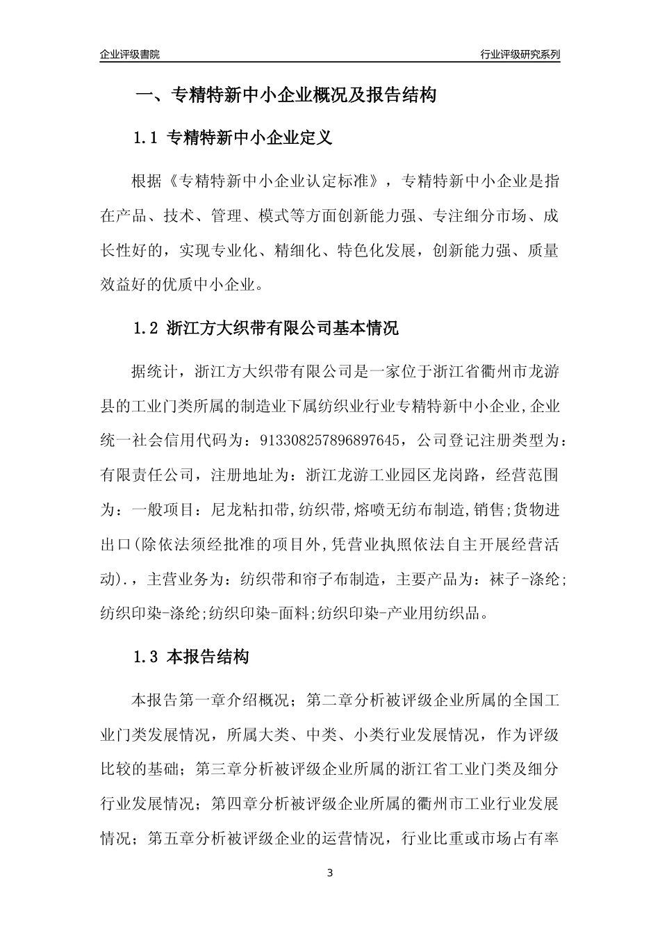 [专精特新]浙江方大织带有限公司行业竞争力评级分析报告(2023版)_第3页