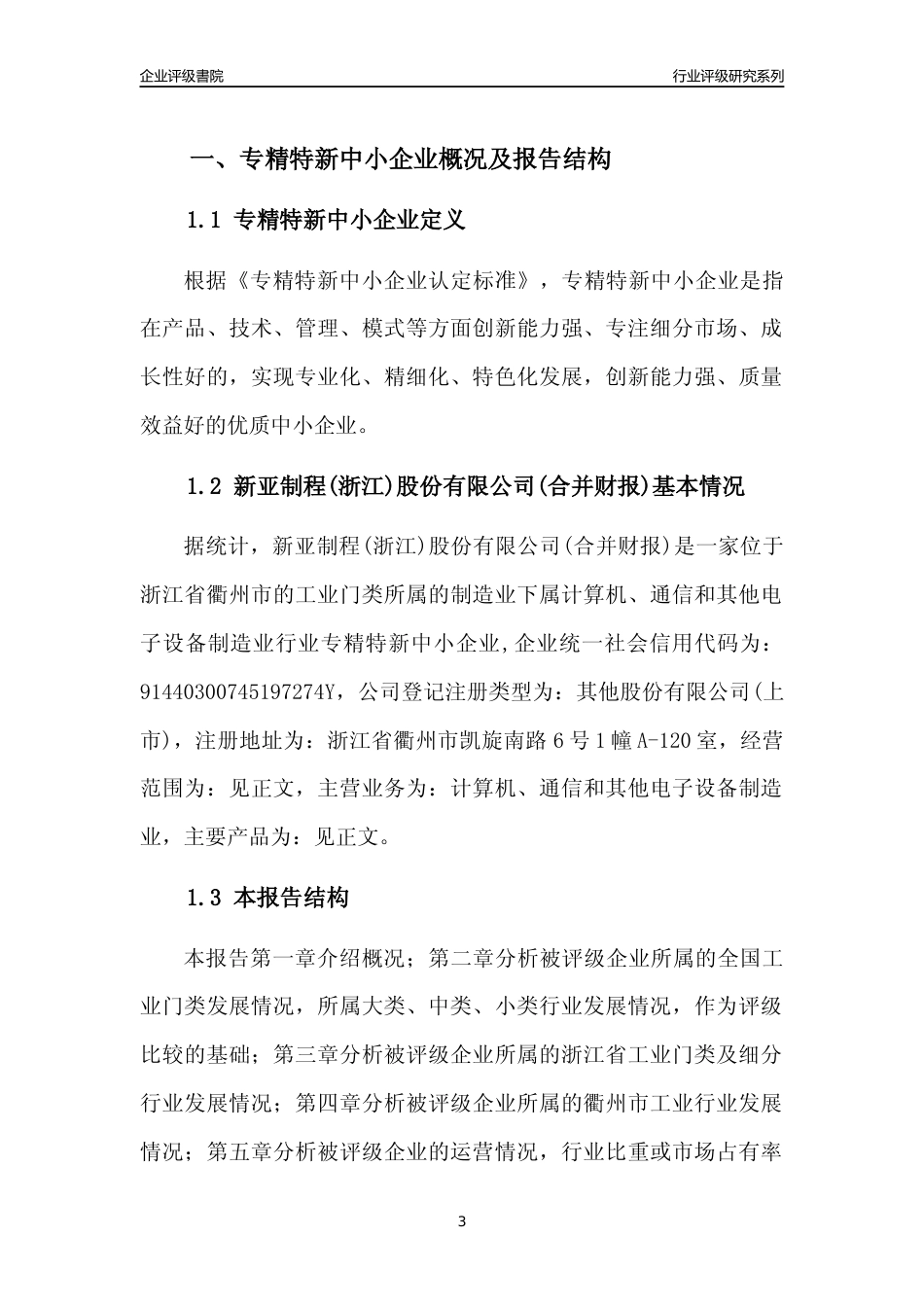 [专精特新]新亚制程(浙江)股份有限公司(合并财报)行业竞争力评级分析报告(2023版)_第3页