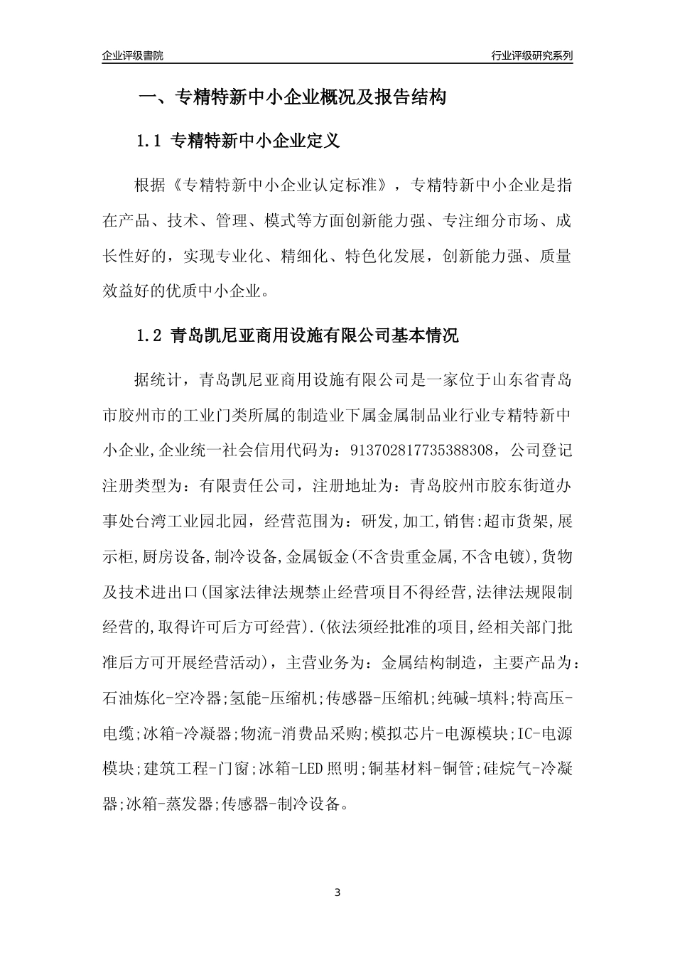 [专精特新]青岛凯尼亚商用设施有限公司行业竞争力评级分析报告(2023版)_第3页