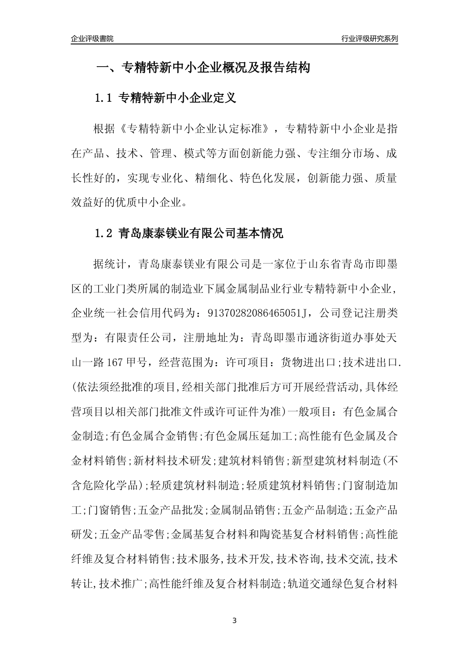 [专精特新]青岛康泰镁业有限公司行业竞争力评级分析报告(2023版)_第3页