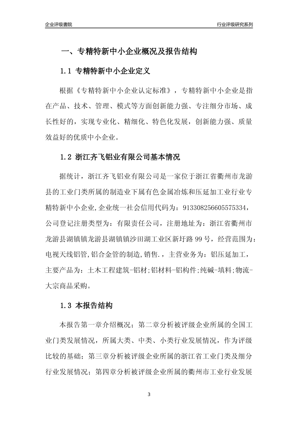 [专精特新]浙江齐飞铝业有限公司行业竞争力评级分析报告(2023版)_第3页