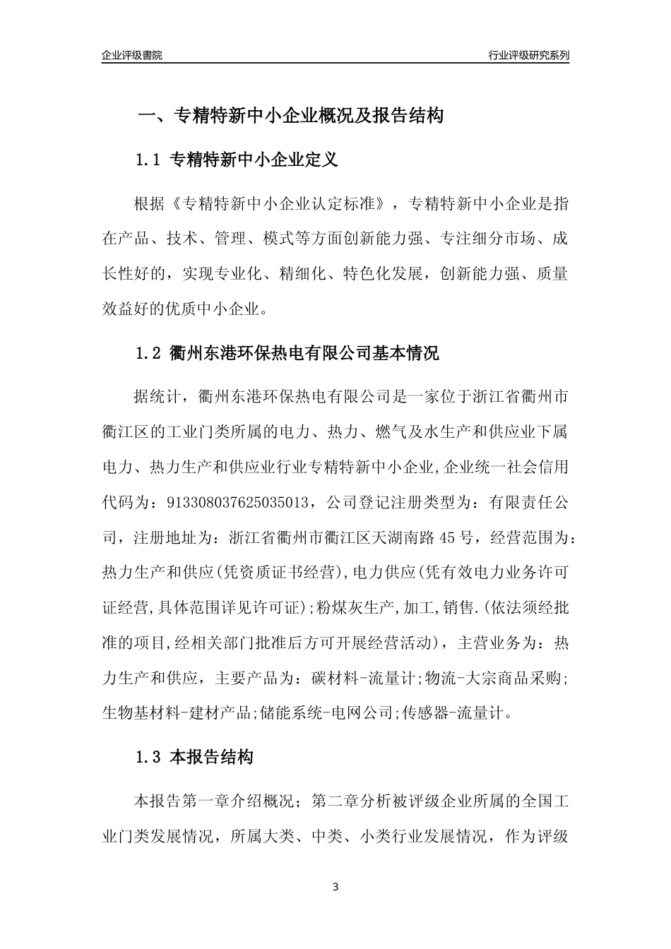 [专精特新]衢州东港环保热电有限公司行业竞争力评级分析报告(2023版)_第3页