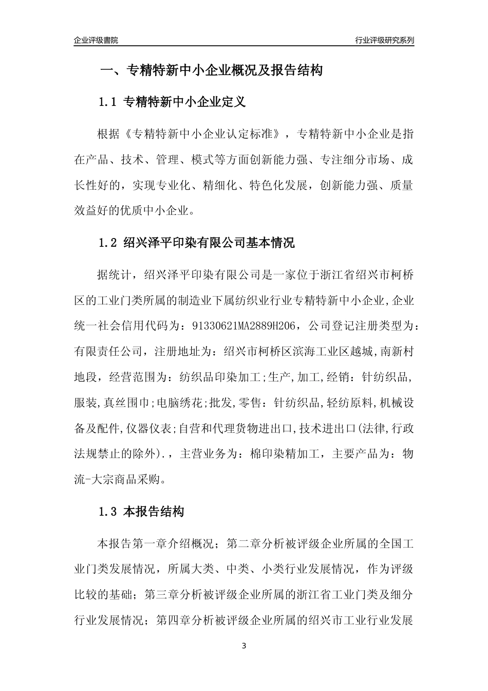 [专精特新]绍兴泽平印染有限公司行业竞争力评级分析报告(2023版)_第3页