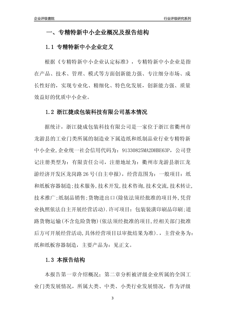 [专精特新]浙江捷成包装科技有限公司行业竞争力评级分析报告(2023版)_第3页