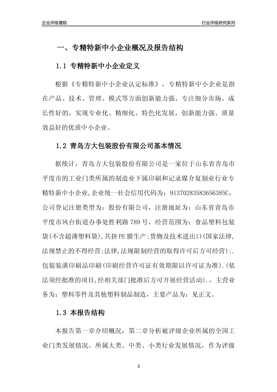 [专精特新]青岛方大包装股份有限公司行业竞争力评级分析报告(2023版)_第3页