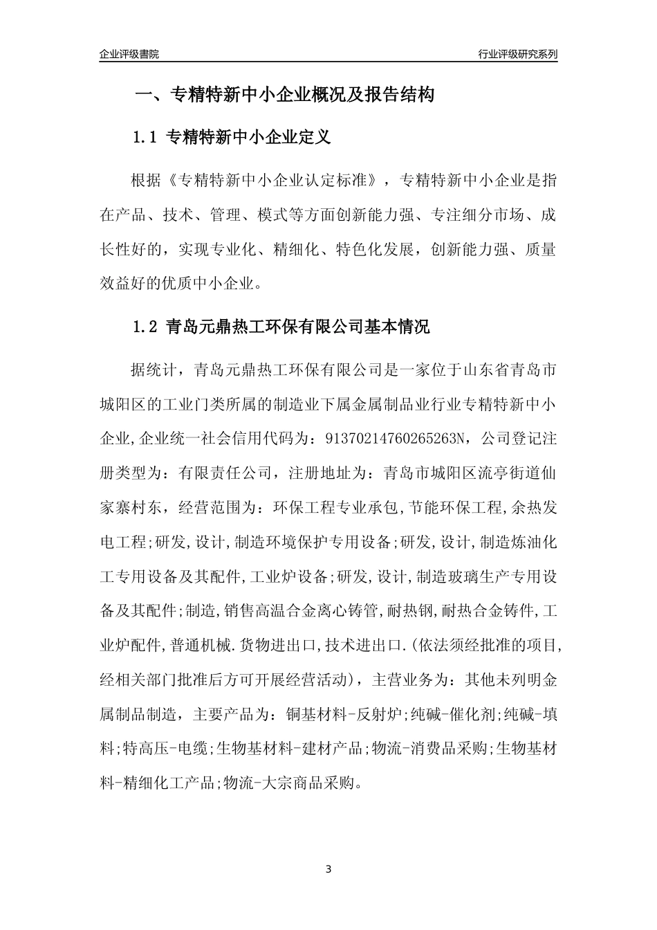 [专精特新]青岛元鼎热工环保有限公司行业竞争力评级分析报告(2023版)_第3页