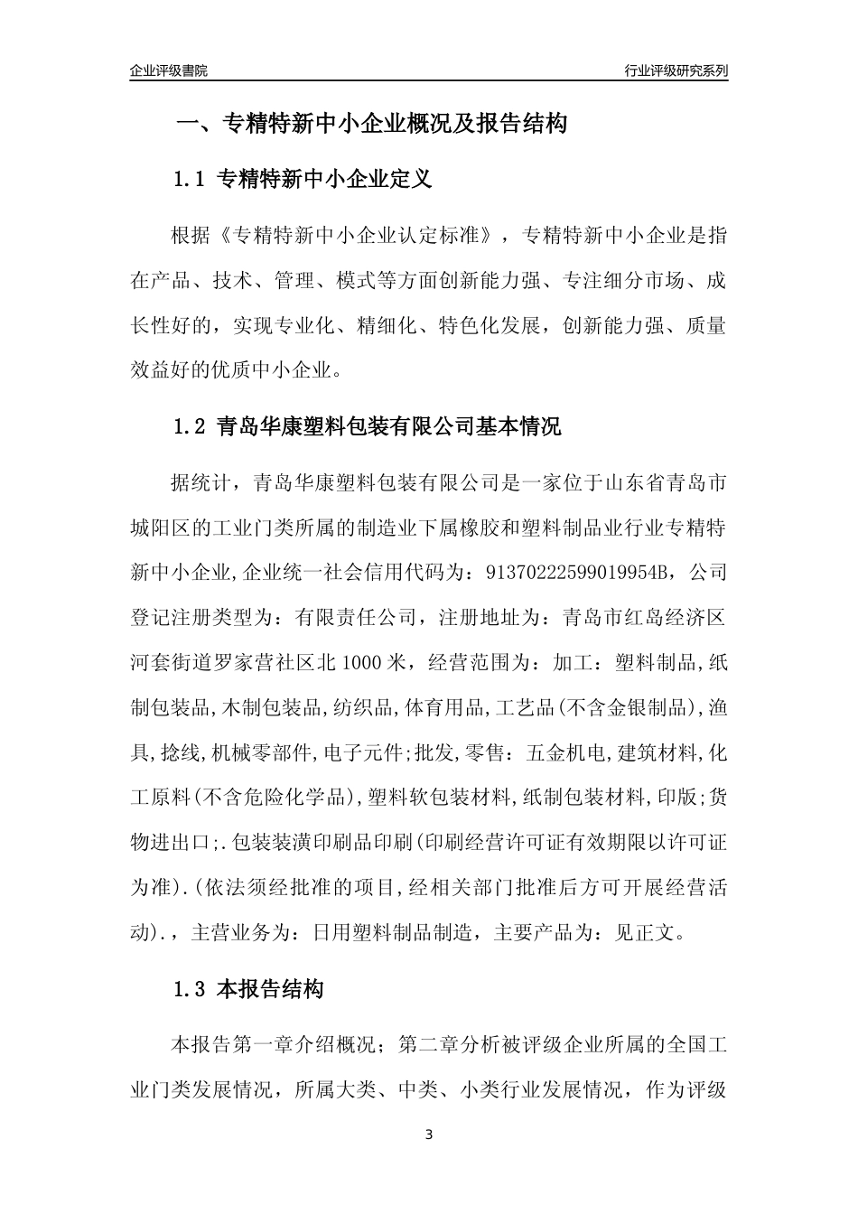 [专精特新]青岛华康塑料包装有限公司行业竞争力评级分析报告(2023版)_第3页