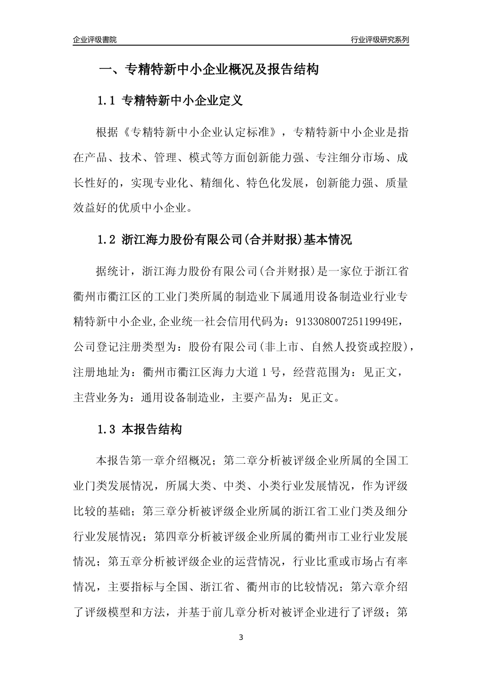 [专精特新]浙江海力股份有限公司(合并财报)行业竞争力评级分析报告(2023版)_第3页