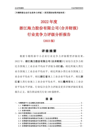 [专精特新]浙江海力股份有限公司(合并财报)行业竞争力评级分析报告(2023版)