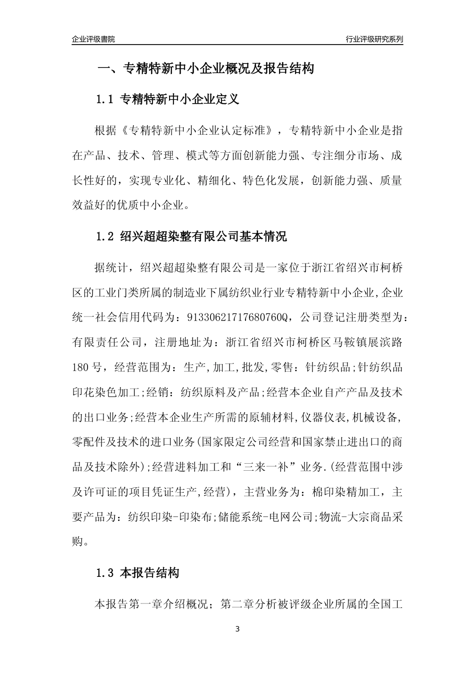 [专精特新]绍兴超超染整有限公司行业竞争力评级分析报告(2023版)_第3页