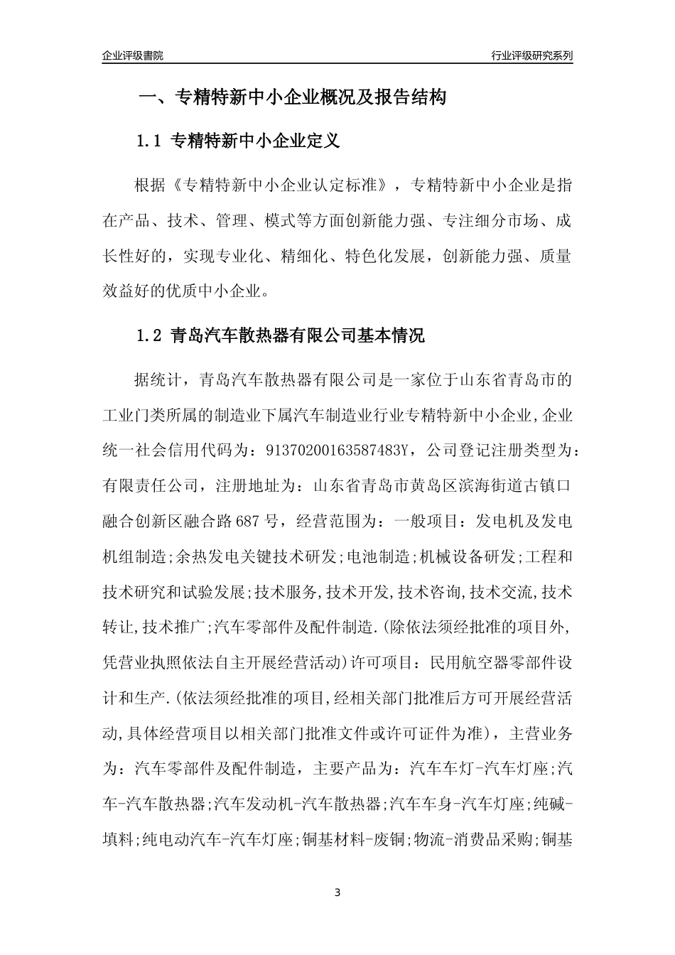 [专精特新]青岛汽车散热器有限公司行业竞争力评级分析报告(2023版)_第3页