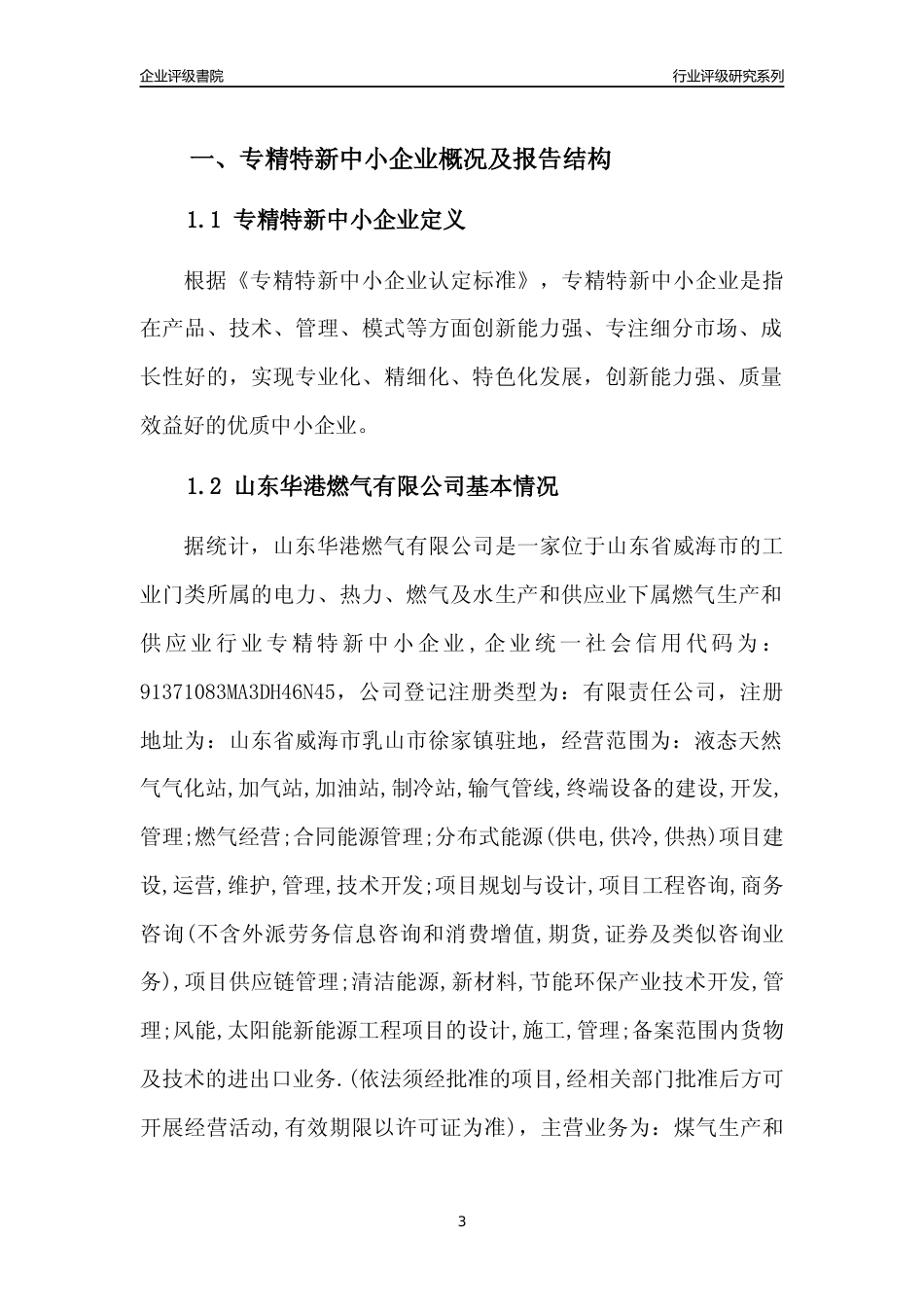 [专精特新]山东华港燃气有限公司行业竞争力评级分析报告(2023版)_第3页