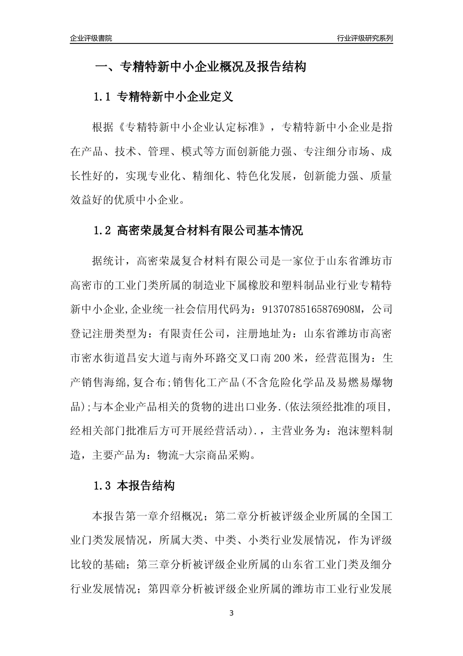 [专精特新]高密荣晟复合材料有限公司行业竞争力评级分析报告(2023版)_第3页