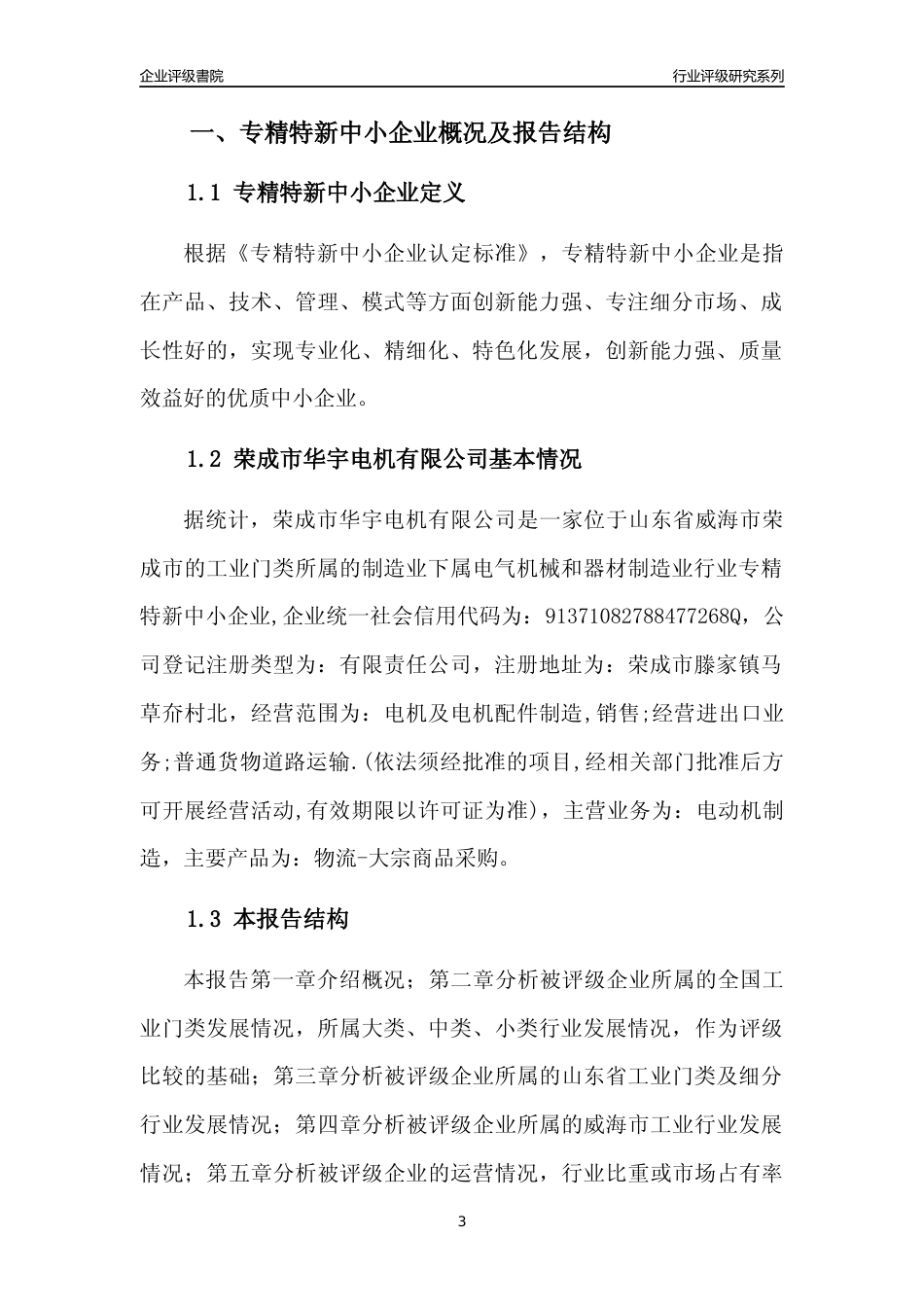 [专精特新]荣成市华宇电机有限公司行业竞争力评级分析报告(2023版)_第3页