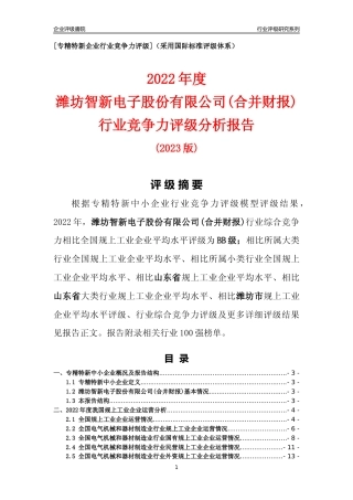 [专精特新]潍坊智新电子股份有限公司(合并财报)行业竞争力评级分析报告(2023版)