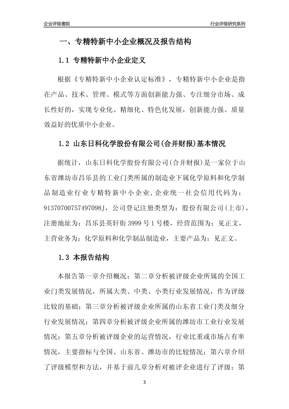 [专精特新]山东日科化学股份有限公司(合并财报)行业竞争力评级分析报告(2023版)_第3页