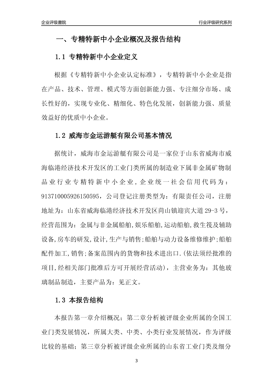 [专精特新]威海市金运游艇有限公司行业竞争力评级分析报告(2023版)_第3页
