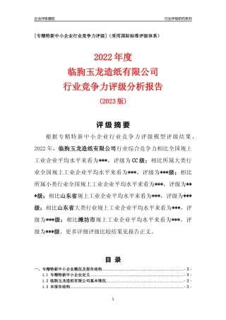[专精特新]临朐玉龙造纸有限公司行业竞争力评级分析报告(2023版)