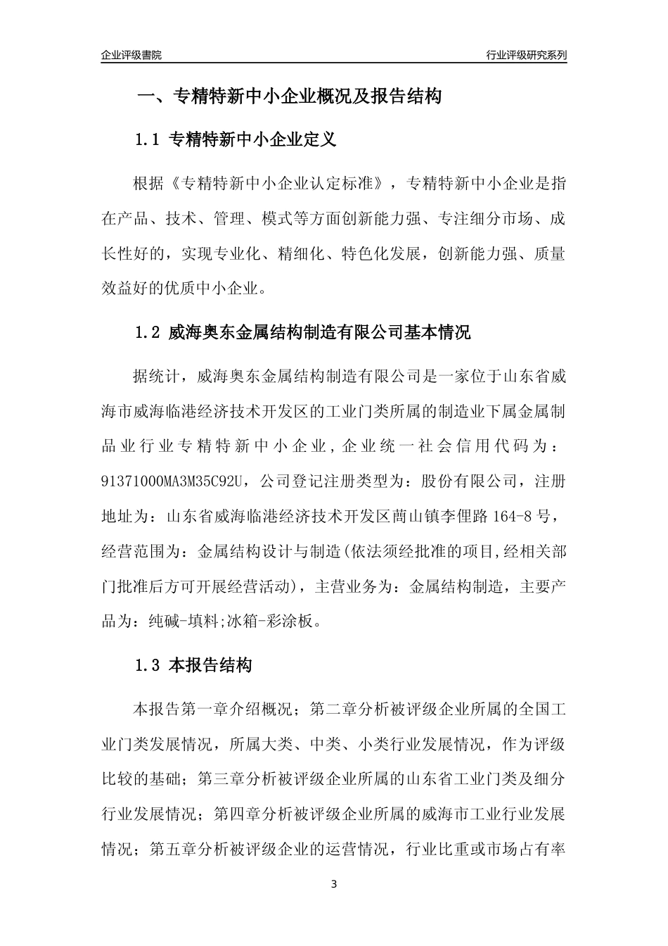[专精特新]威海奥东金属结构制造有限公司行业竞争力评级分析报告(2023版)_第3页