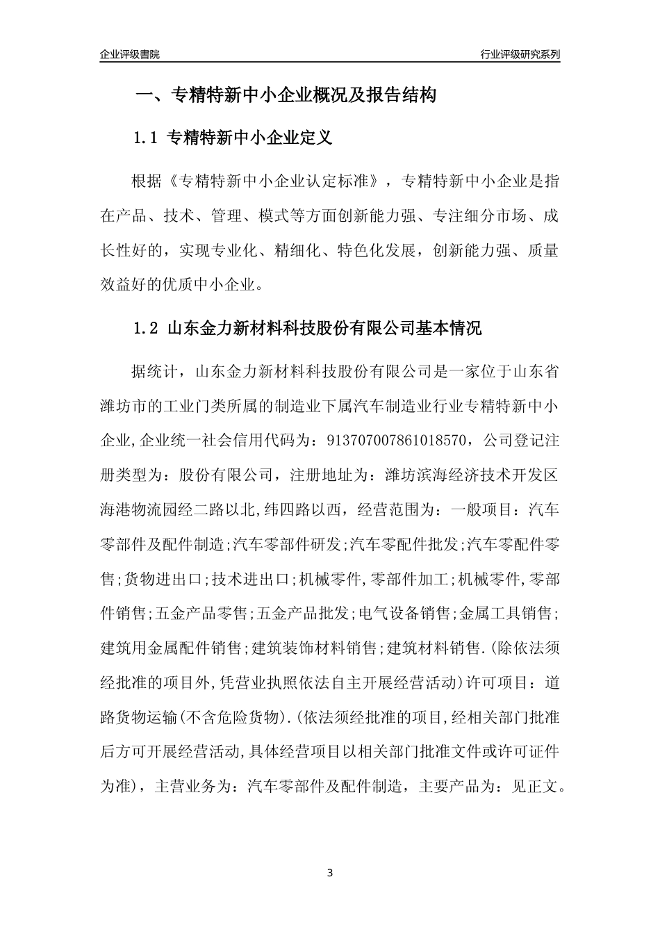 [专精特新]山东金力新材料科技股份有限公司行业竞争力评级分析报告(2023版)_第3页