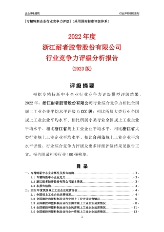 [专精特新]浙江耐者胶带股份有限公司行业竞争力评级分析报告(2023版)