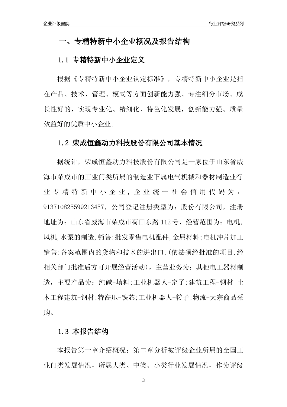 [专精特新]荣成恒鑫动力科技股份有限公司行业竞争力评级分析报告(2023版)_第3页