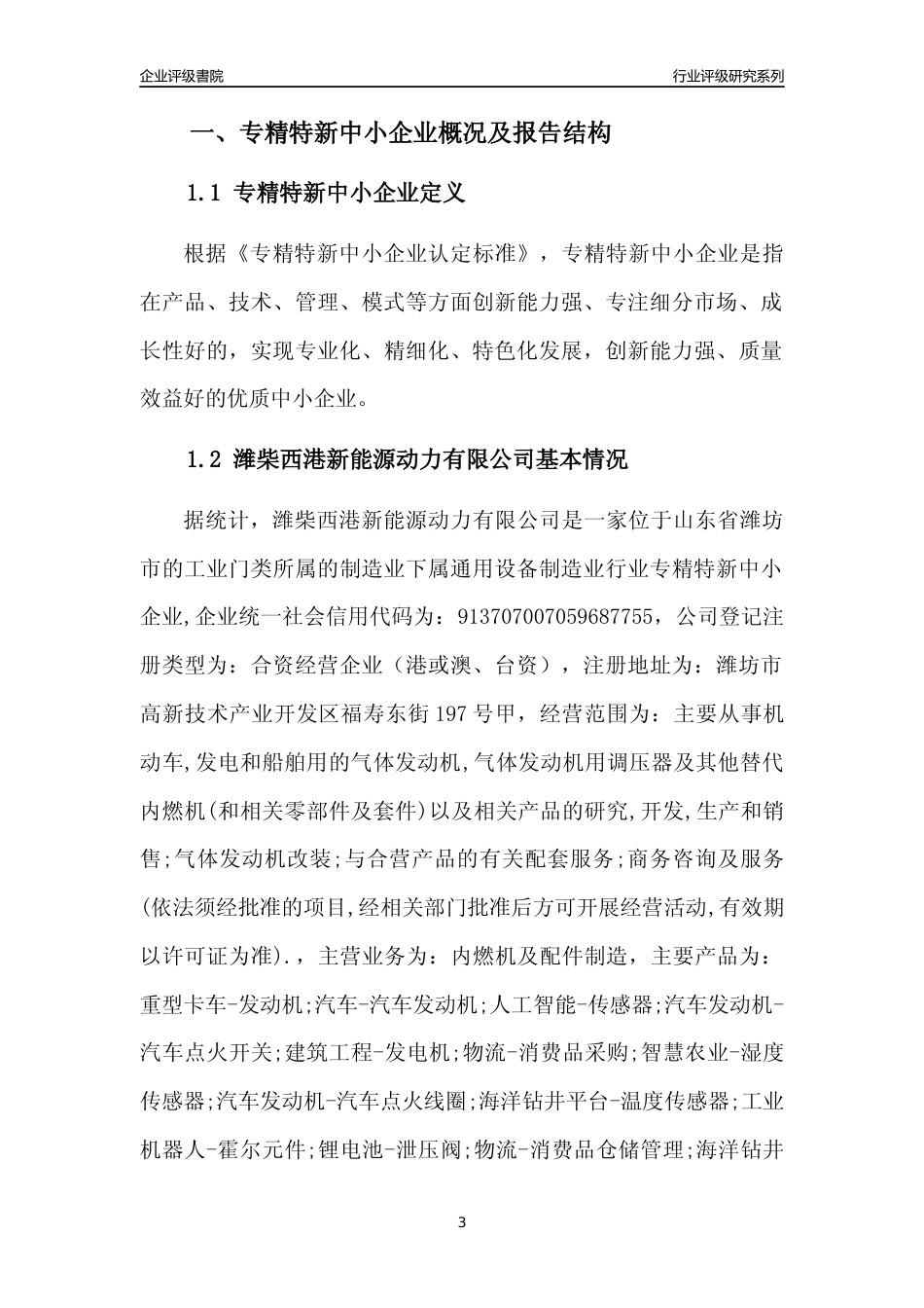 [专精特新]潍柴西港新能源动力有限公司行业竞争力评级分析报告(2023版)_第3页