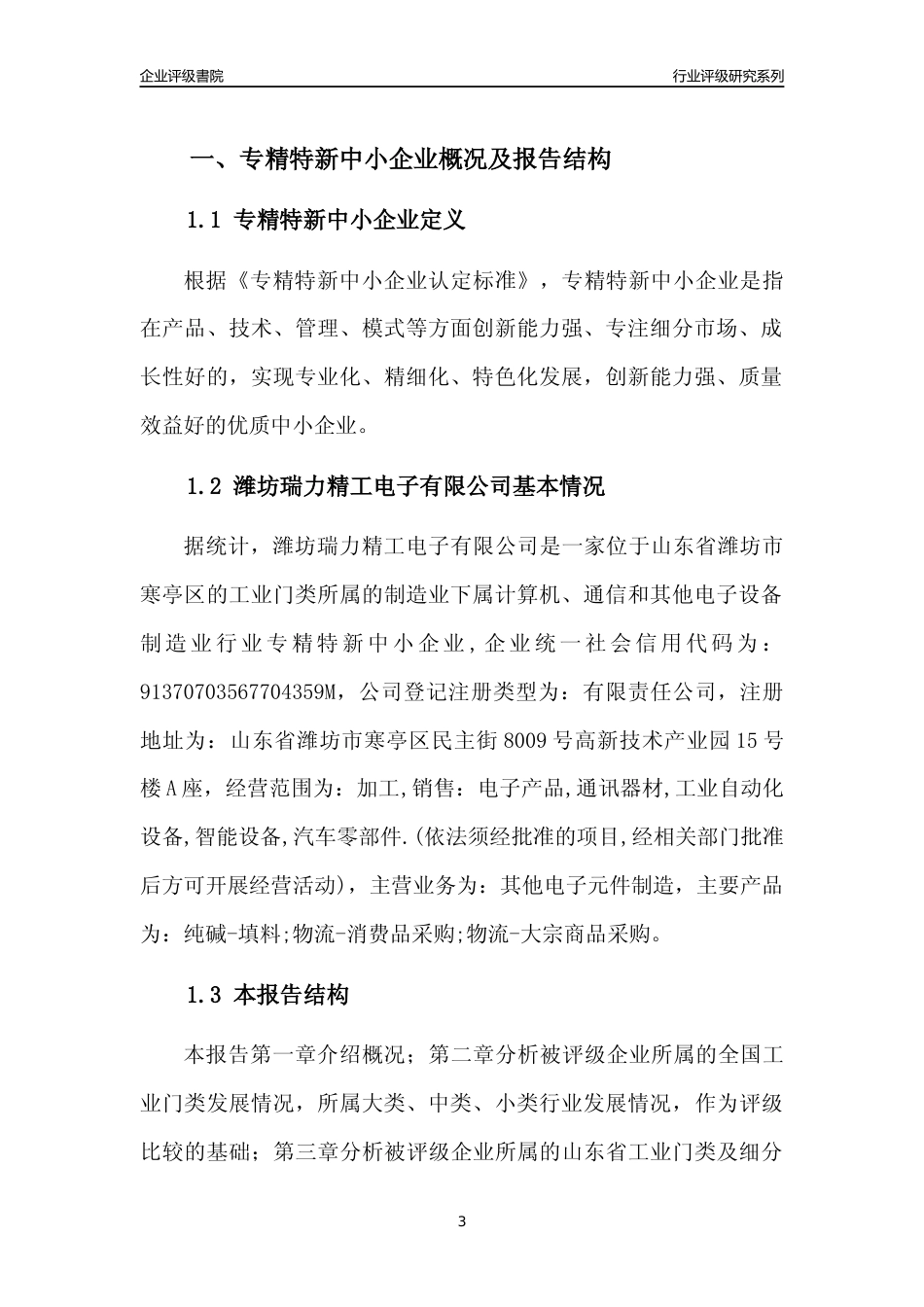 [专精特新]潍坊瑞力精工电子有限公司行业竞争力评级分析报告(2023版)_第3页