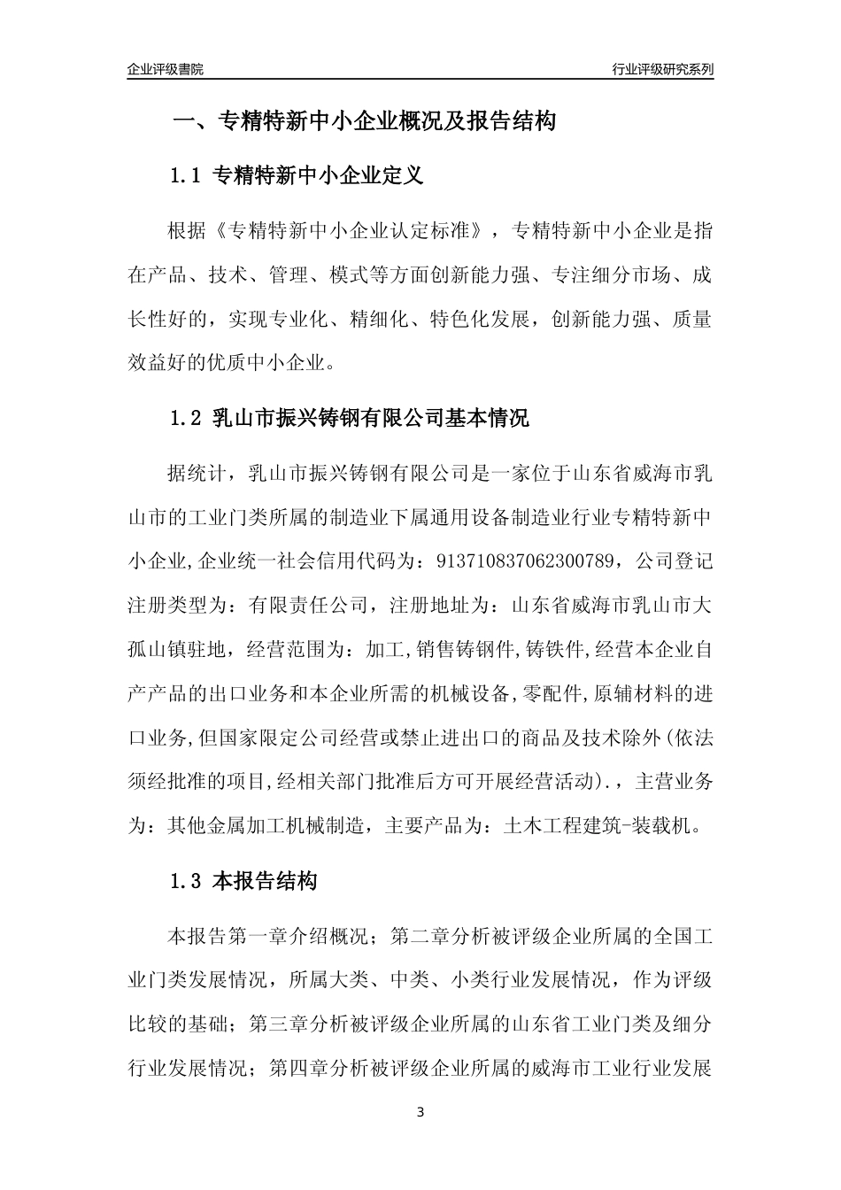[专精特新]乳山市振兴铸钢有限公司行业竞争力评级分析报告(2023版)_第3页