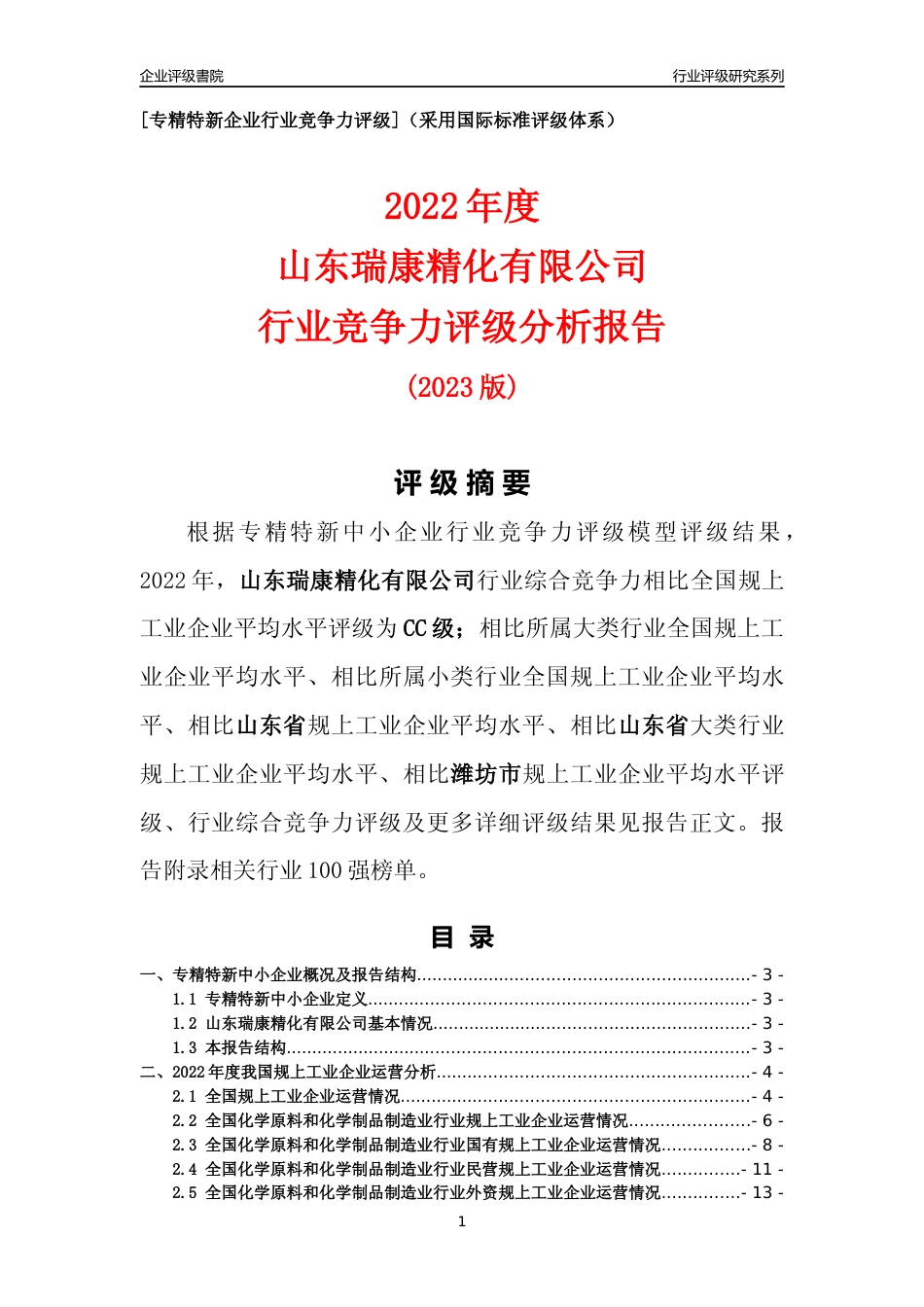 [专精特新]山东瑞康精化有限公司行业竞争力评级分析报告(2023版)_第1页