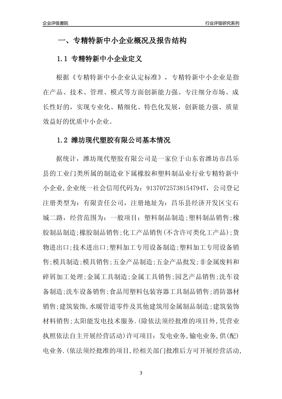[专精特新]潍坊现代塑胶有限公司行业竞争力评级分析报告(2023版)_第3页