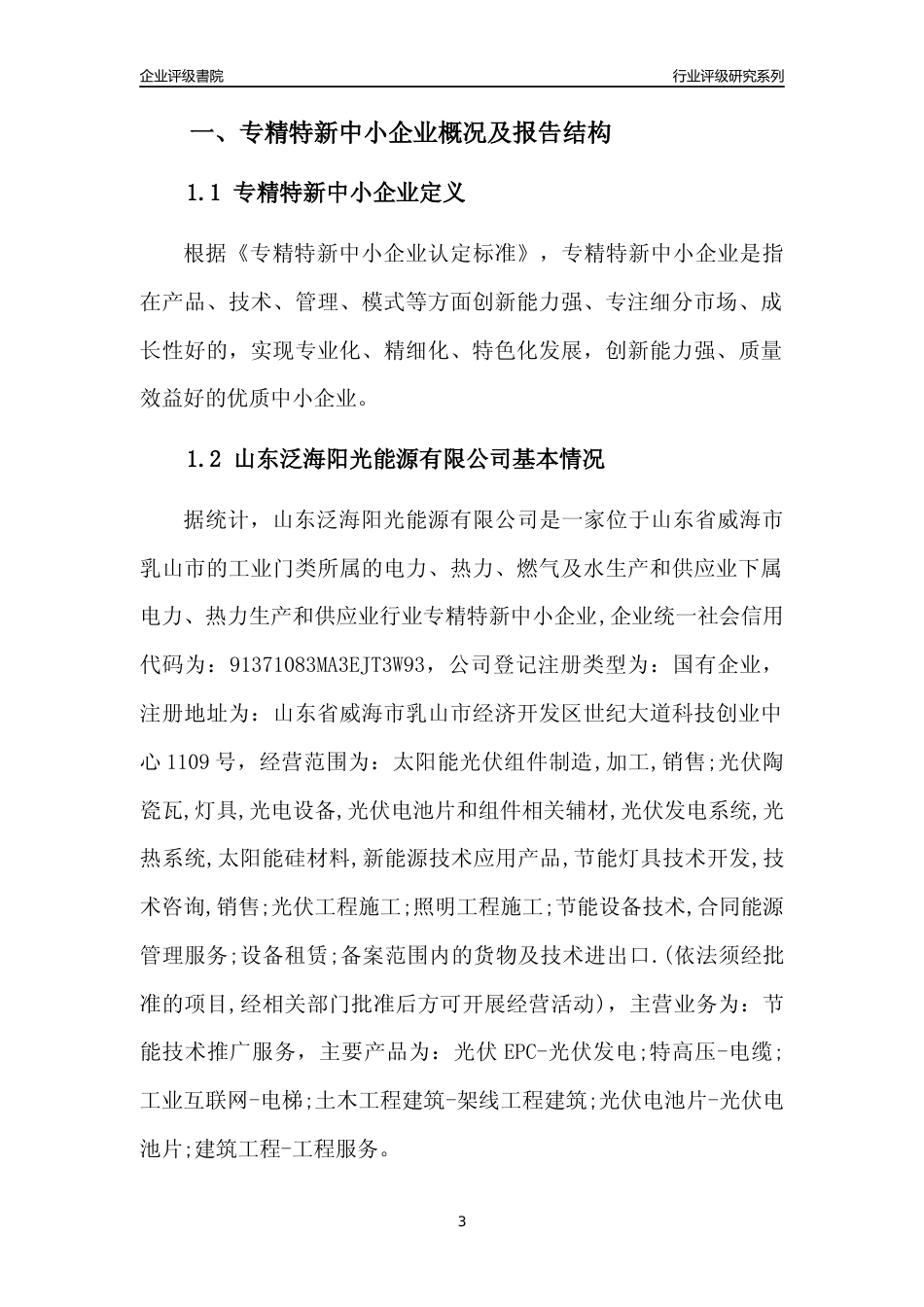 [专精特新]山东泛海阳光能源有限公司行业竞争力评级分析报告(2023版)_第3页
