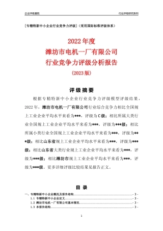 [专精特新]潍坊市电机一厂有限公司行业竞争力评级分析报告(2023版)