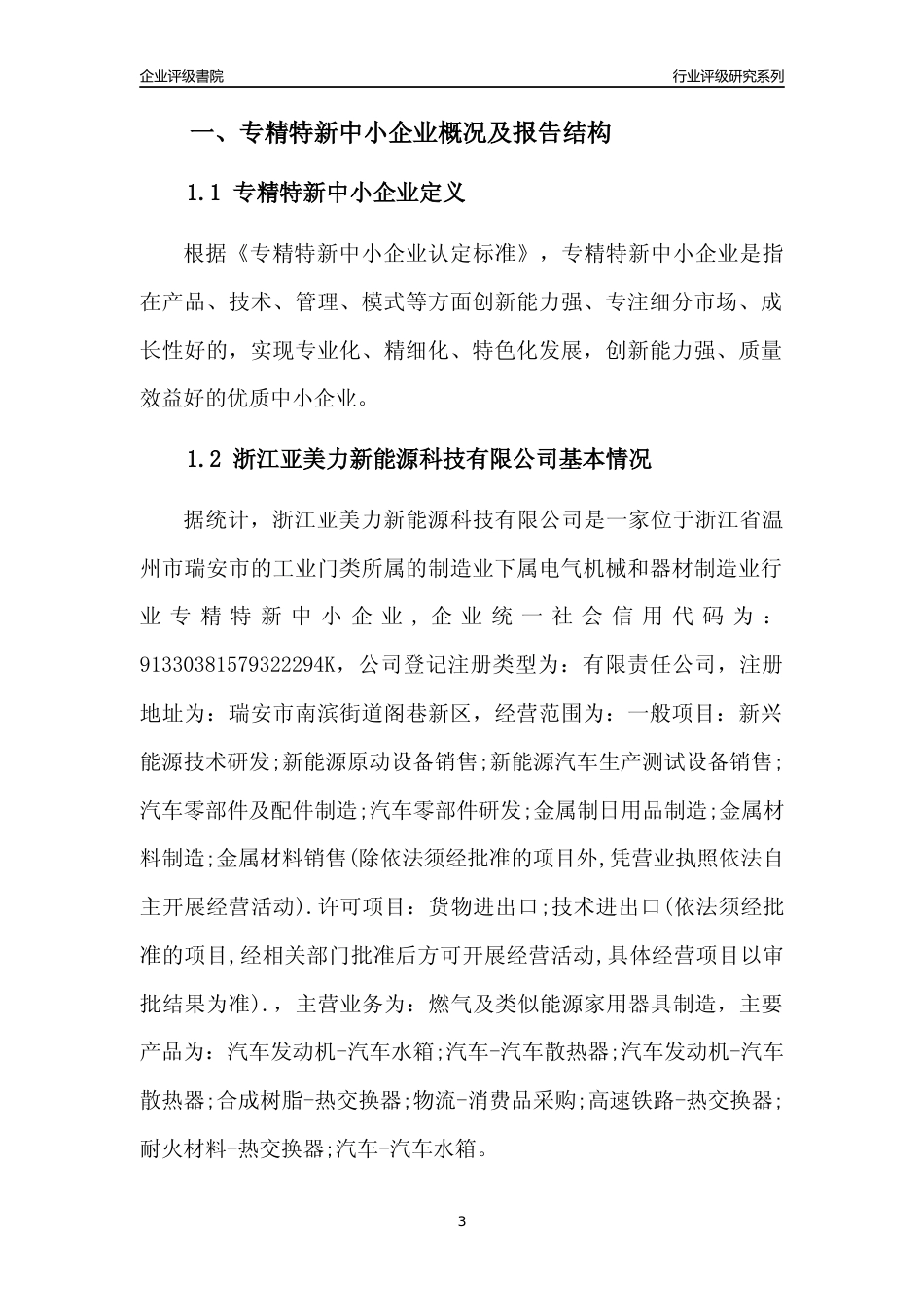 [专精特新]浙江亚美力新能源科技有限公司行业竞争力评级分析报告(2023版)_第3页
