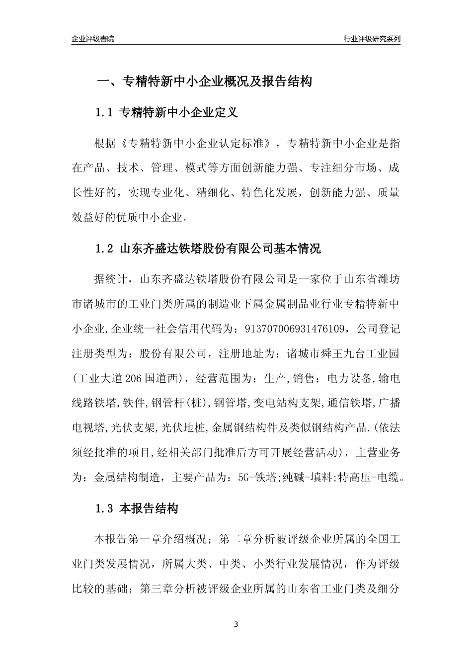 [专精特新]山东齐盛达铁塔股份有限公司行业竞争力评级分析报告(2023版)_第3页