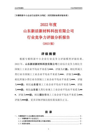 [专精特新]山东新活新材料科技有限公司行业竞争力评级分析报告(2023版)