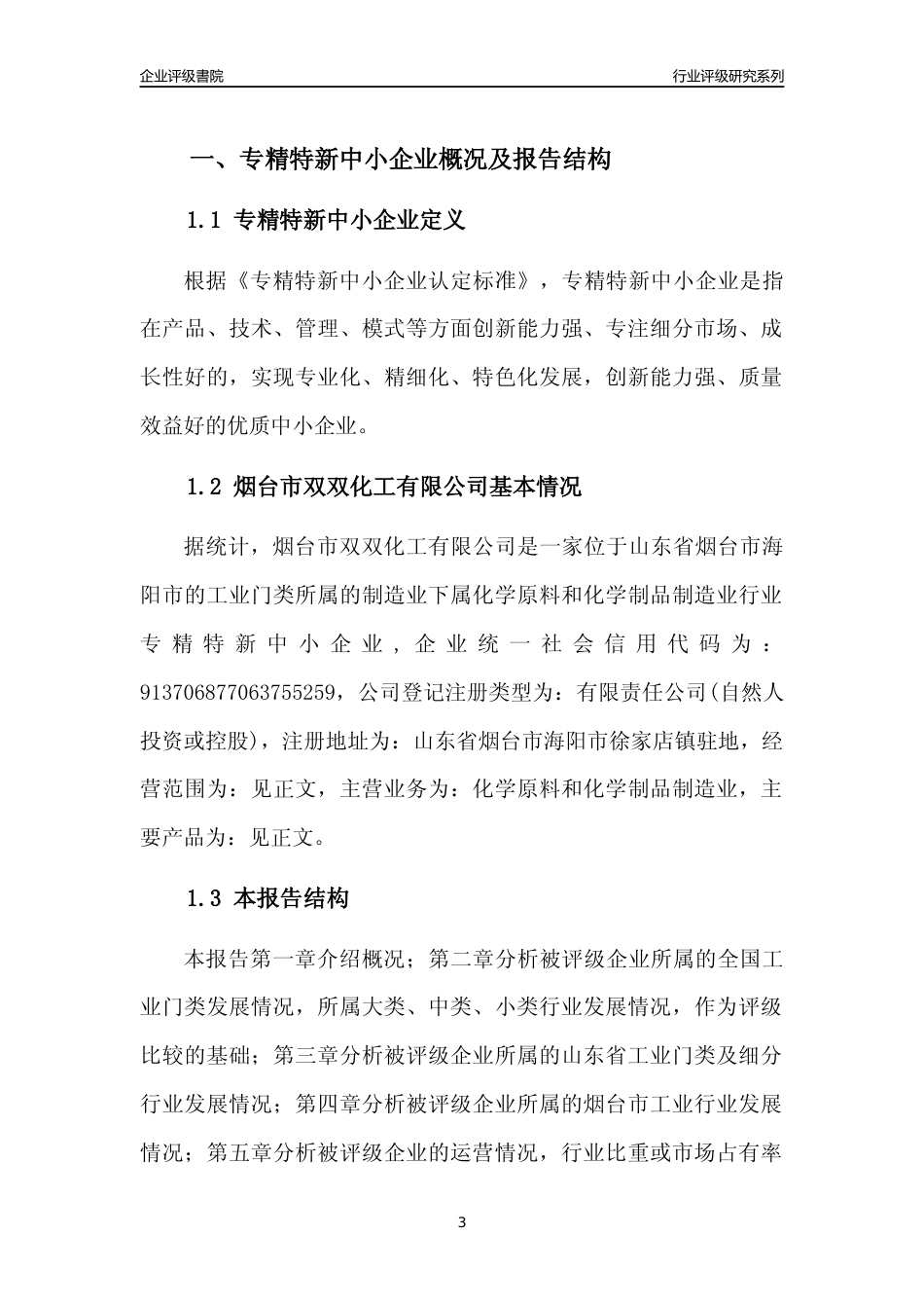 [专精特新]烟台市双双化工有限公司行业竞争力评级分析报告(2023版)_第3页