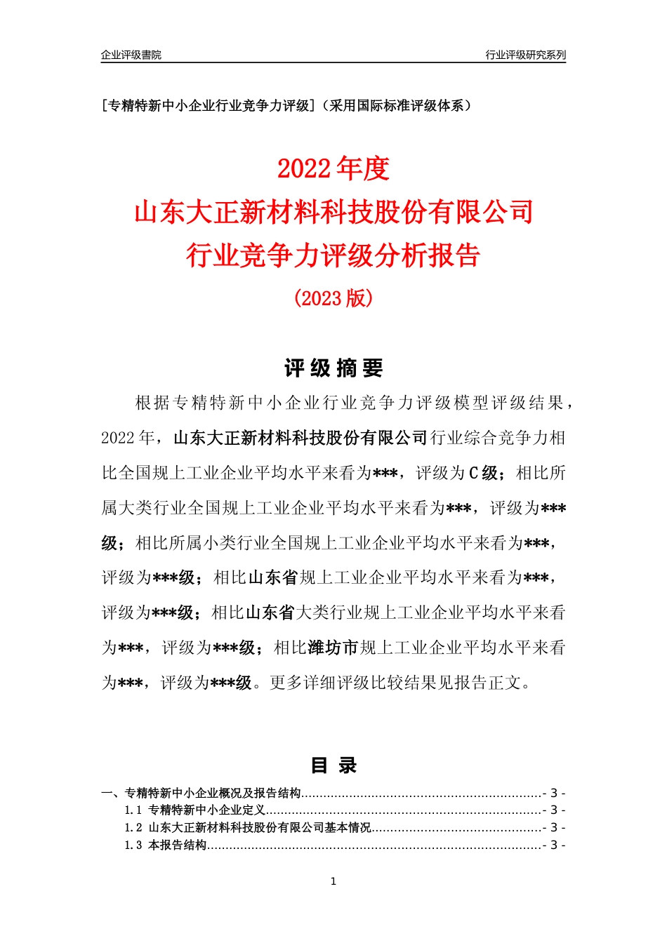 [专精特新]山东大正新材料科技股份有限公司行业竞争力评级分析报告(2023版)_第1页