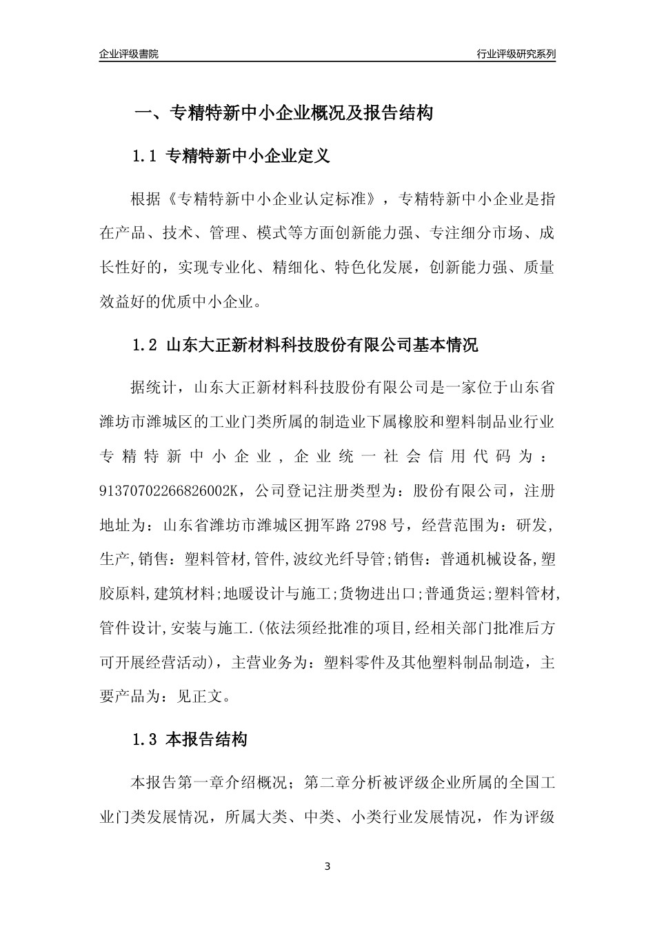 [专精特新]山东大正新材料科技股份有限公司行业竞争力评级分析报告(2023版)_第3页