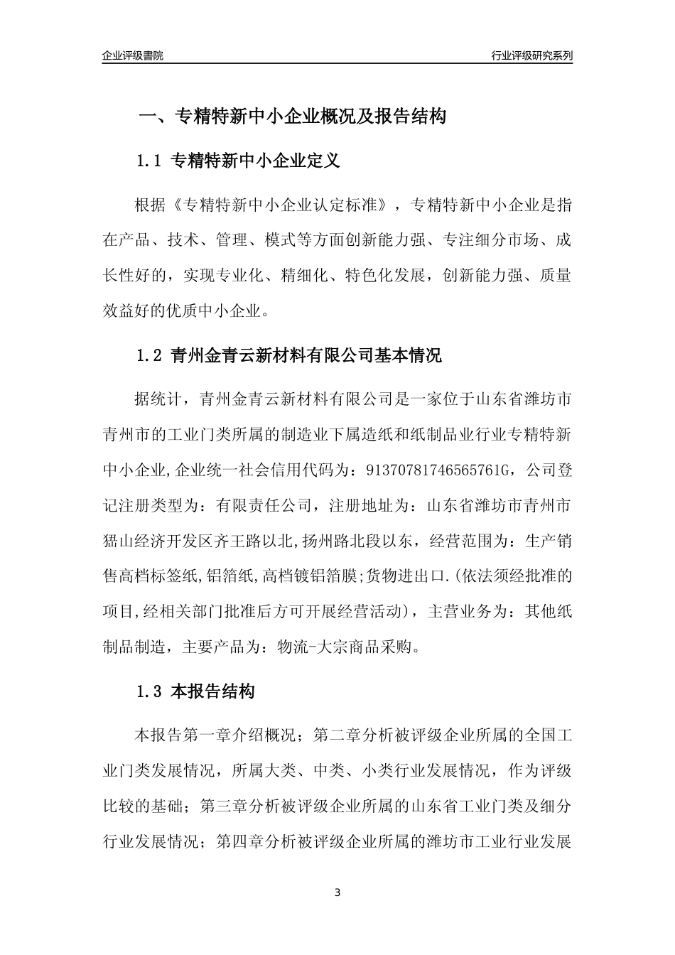 [专精特新]青州金青云新材料有限公司行业竞争力评级分析报告(2023版)_第3页