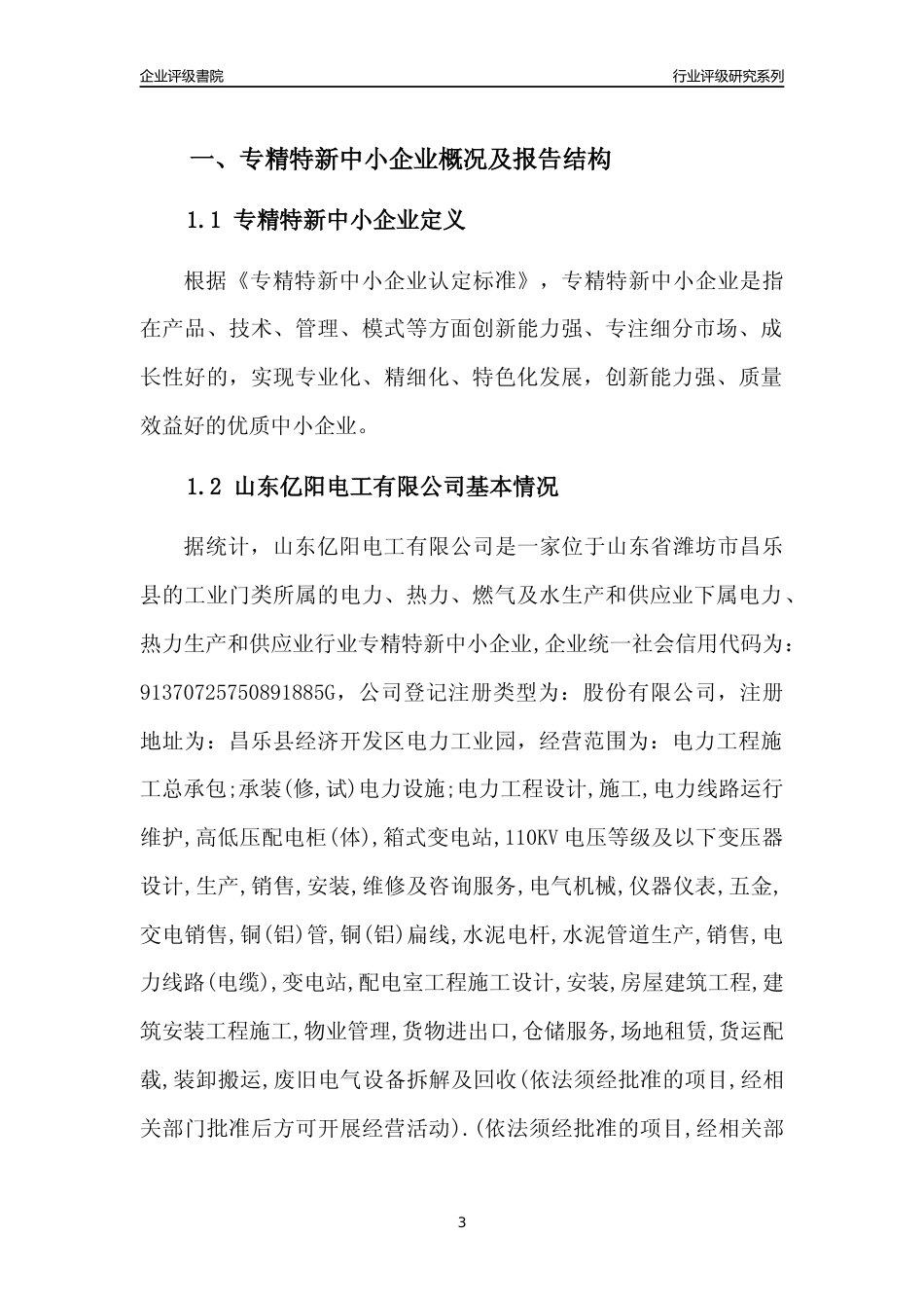 [专精特新]山东亿阳电工有限公司行业竞争力评级分析报告(2023版)_第3页