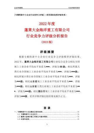 [专精特新]蓬莱大金海洋重工有限公司行业竞争力评级分析报告(2023版)