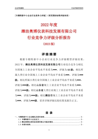 [专精特新]潍坊奥博仪表科技发展有限公司行业竞争力评级分析报告(2023版)