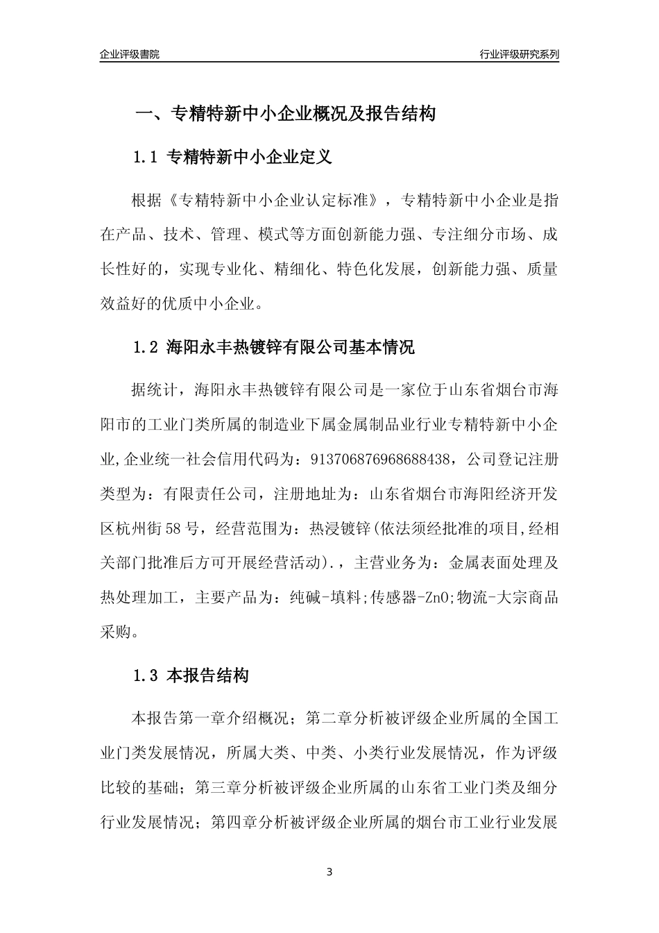 [专精特新]海阳永丰热镀锌有限公司行业竞争力评级分析报告(2023版)_第3页