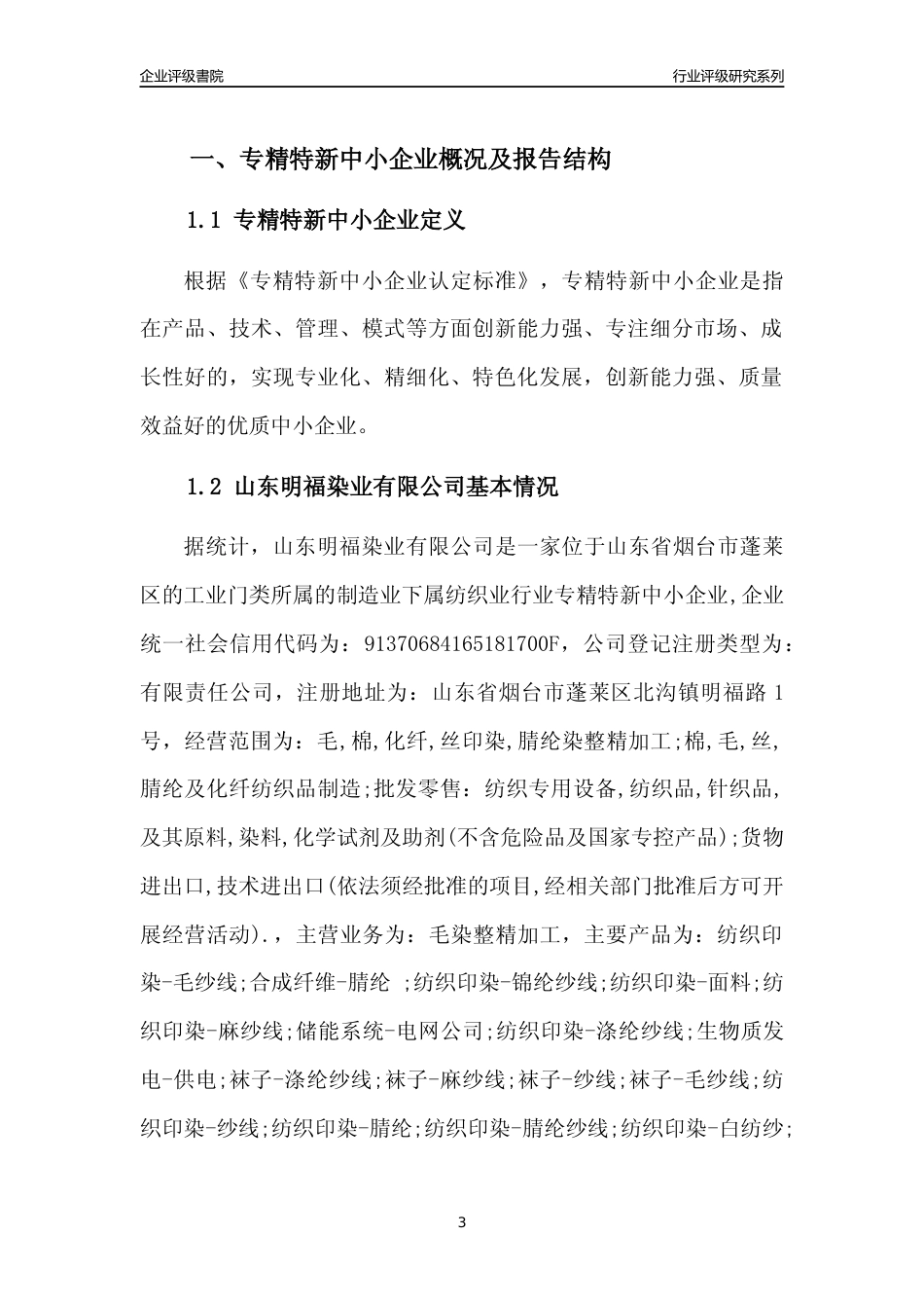 [专精特新]山东明福染业有限公司行业竞争力评级分析报告(2023版)_第3页