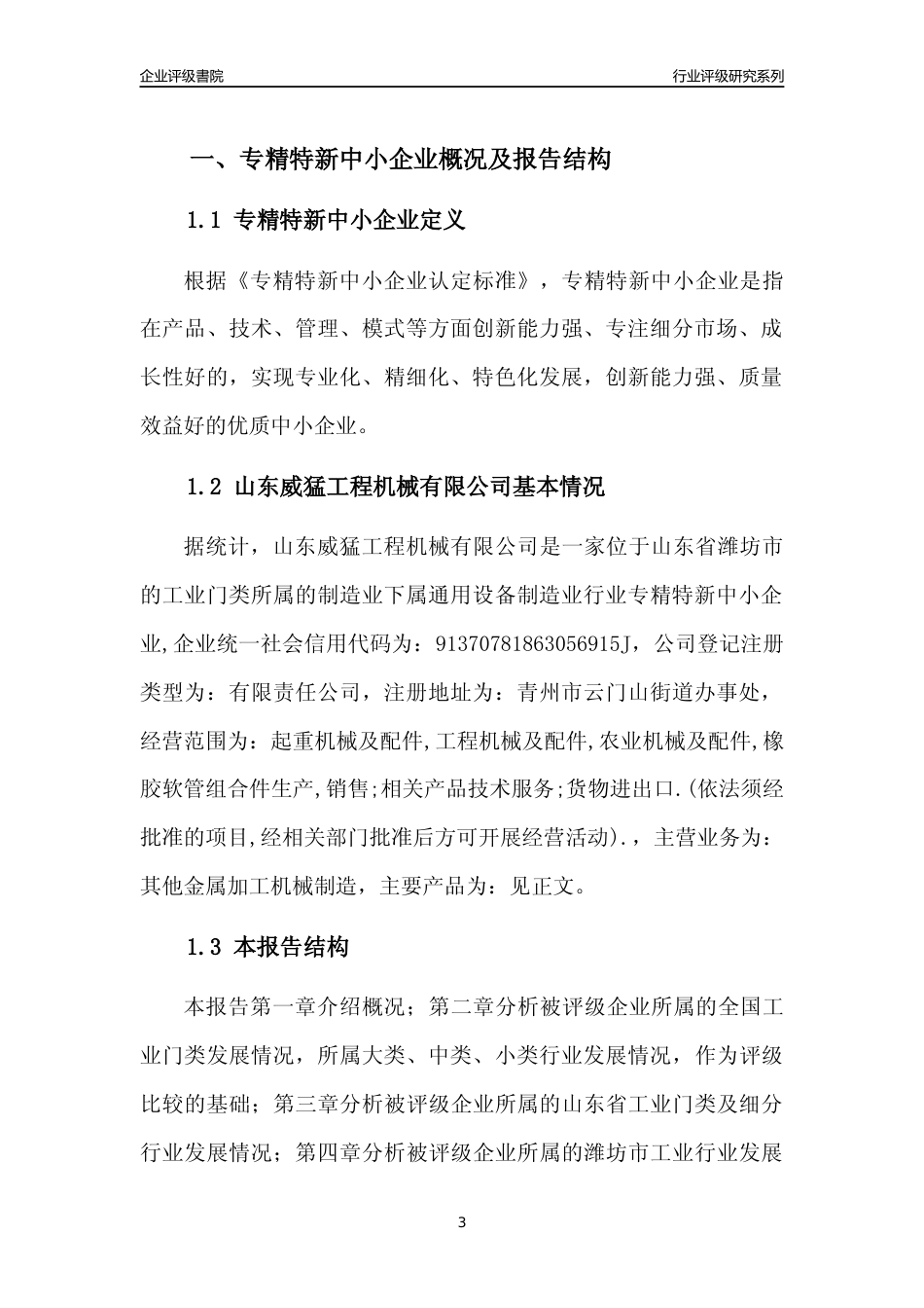 [专精特新]山东威猛工程机械有限公司行业竞争力评级分析报告(2023版)_第3页